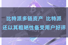 比特派多链资产 比特派还以其粗陋性备受用户好评